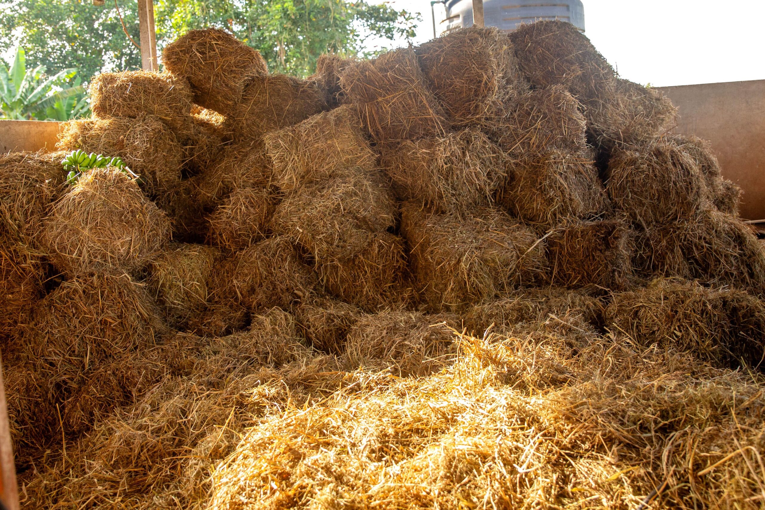 Silage & Hay Production